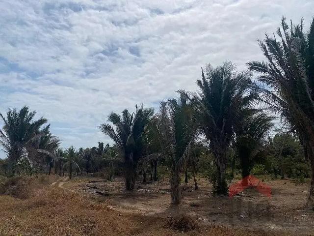 Terreno venda em Vila Nova, Raposa