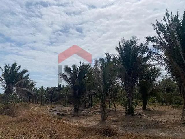 Terreno venda em Região Geográfica Imediata de São Luís, Raposa