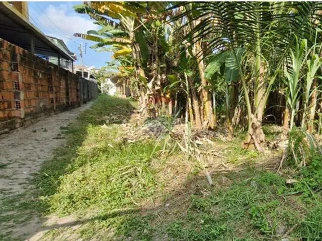 Terreno venda em Região Geográfica Imediata do Recife, Região Metropolitana do Recife