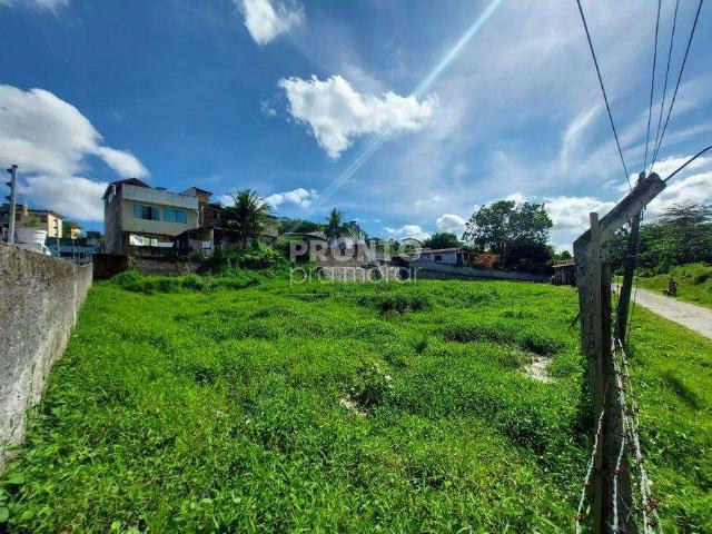 Terreno venda em Jardim Petrópolis, Recife