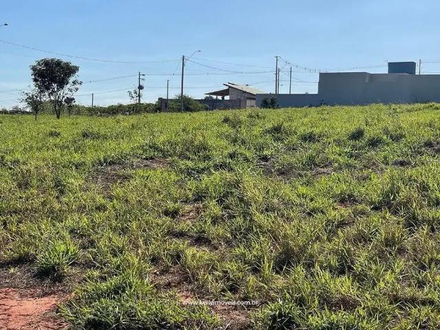 Terreno venda em Regente Feijó, Região Geográfica Intermediária de Presidente Prudente