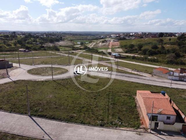 Terreno venda em Região Geográfica Imediata de Campina Grande, Remigio