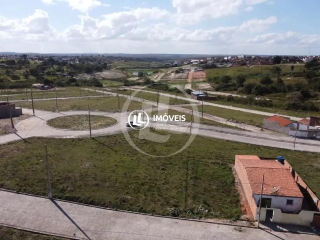 Terreno venda em Região Geográfica Imediata de Campina Grande, Remigio