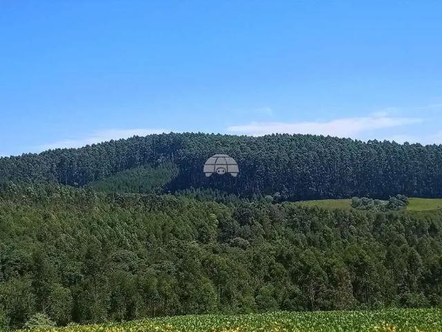 Terreno venda em Região Geográfica Imediata de Telêmaco Borba, Reserva