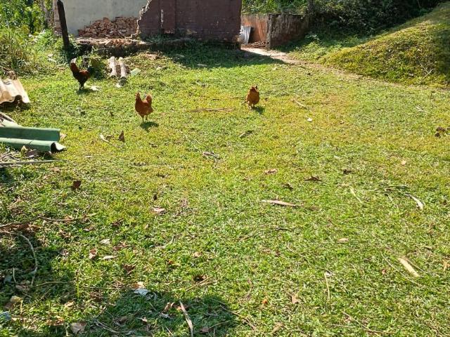 Terreno venda em Ribeirão Pires