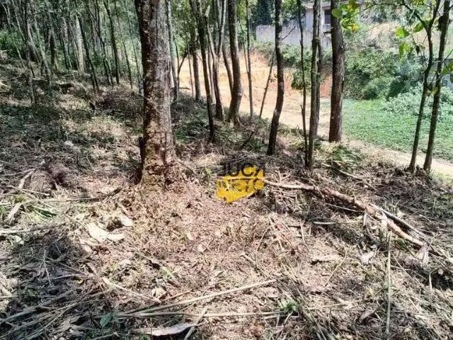 Terreno venda em Região Imediata de São Paulo, Região Metropolitana de São Paulo