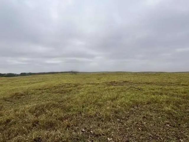 Terreno venda em Região Imediata de Ribeirão Preto, Região Metropolitana de Ribeirão Preto