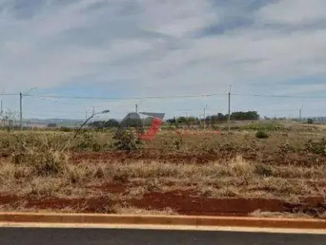 Terreno venda em Região Imediata de Ribeirão Preto, Região Metropolitana de Ribeirão Preto