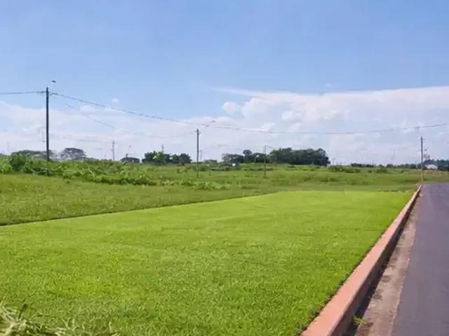 Terreno venda em Região Imediata de Ribeirão Preto, Região Metropolitana de Ribeirão Preto