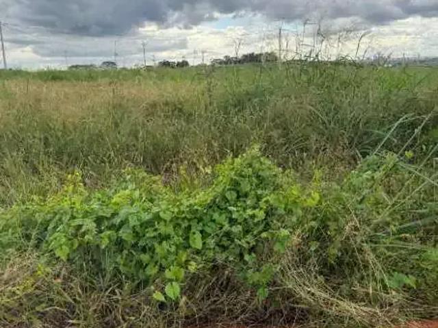 Terreno venda em Região Imediata de Ribeirão Preto, Região Metropolitana de Ribeirão Preto