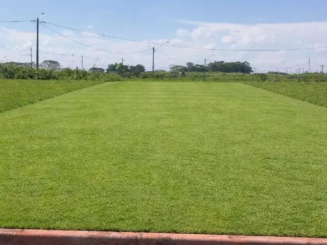 Terreno venda em Região Imediata de Ribeirão Preto, Região Metropolitana de Ribeirão Preto