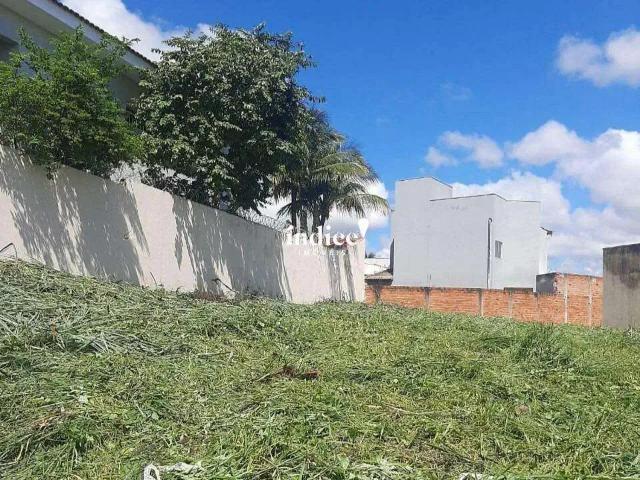 Terreno venda em Região Imediata de Ribeirão Preto, Região Metropolitana de Ribeirão Preto