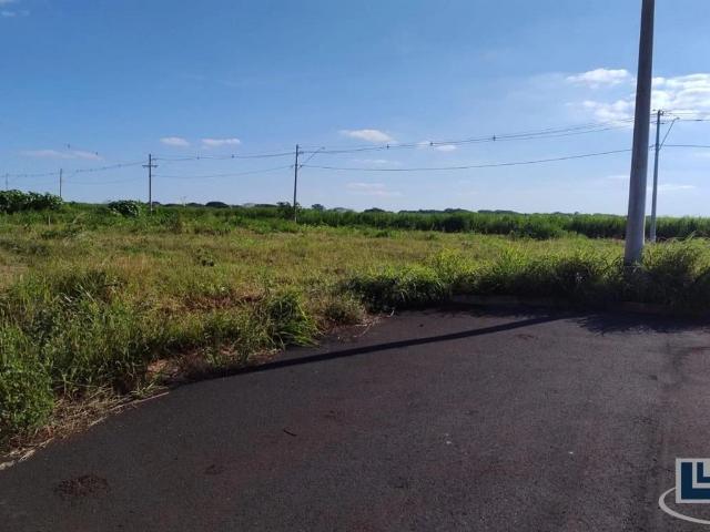Terreno venda em Ribeirão Preto