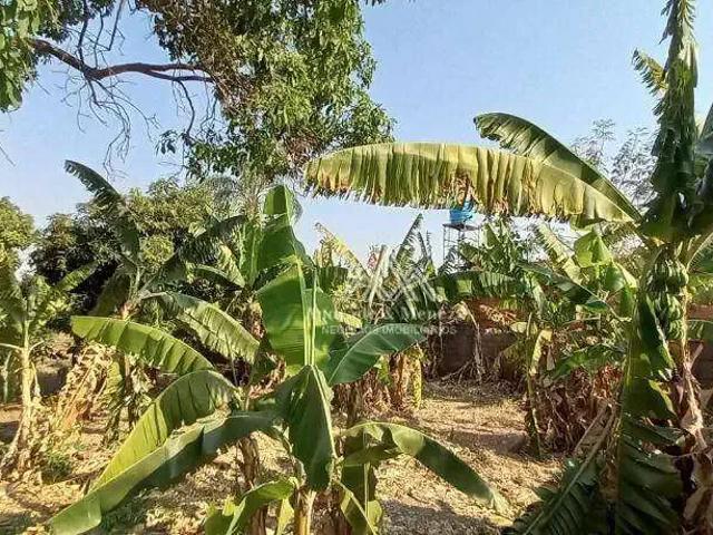 Terreno venda em Região Imediata de Ribeirão Preto, Região Metropolitana de Ribeirão Preto