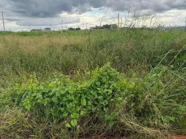 Terreno venda em Região Imediata de Ribeirão Preto, Região Metropolitana de Ribeirão Preto