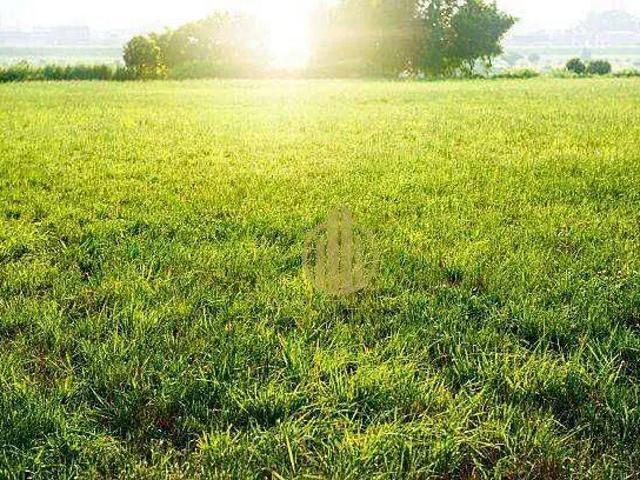 Terreno venda em Região Imediata de Ribeirão Preto, Região Metropolitana de Ribeirão Preto