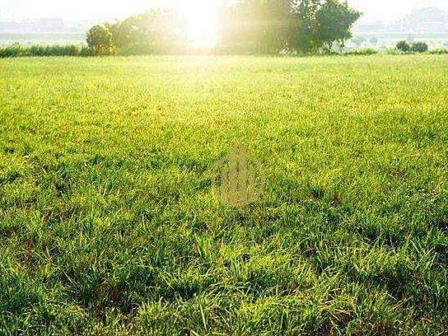 Terreno venda em Região Imediata de Ribeirão Preto, Região Metropolitana de Ribeirão Preto