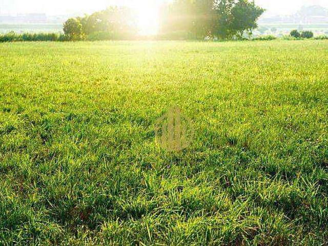 Terreno venda em Região Imediata de Ribeirão Preto, Região Metropolitana de Ribeirão Preto