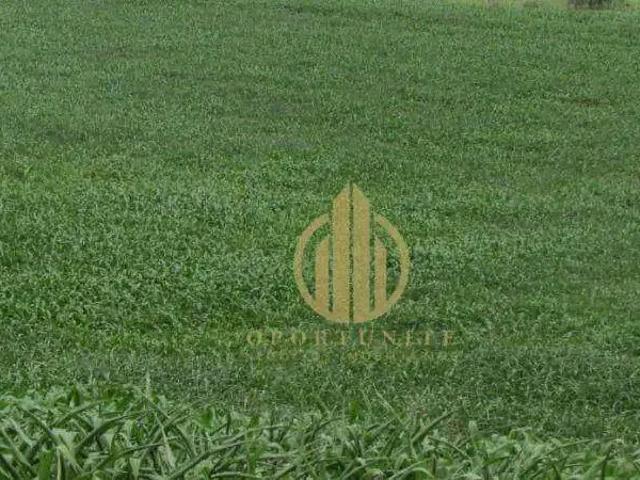 Terreno venda em Região Imediata de Ribeirão Preto, Região Metropolitana de Ribeirão Preto