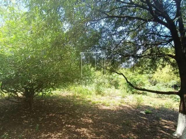 Terreno venda em Região Imediata de Ribeirão Preto, Região Metropolitana de Ribeirão Preto