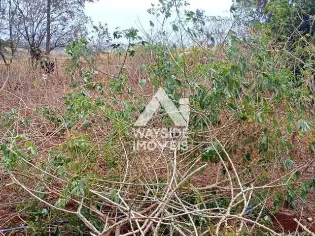 Terreno venda em Região Imediata de Ribeirão Preto, Região Metropolitana de Ribeirão Preto