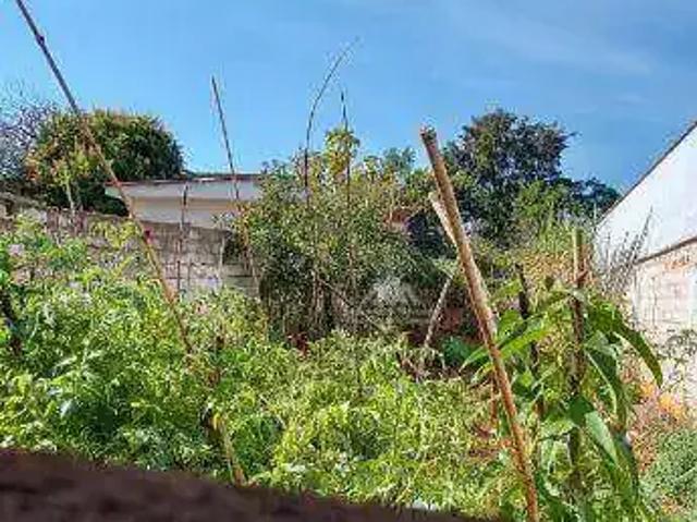 Terreno venda em Região Imediata de Ribeirão Preto, Região Metropolitana de Ribeirão Preto