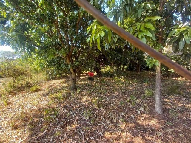 Terreno venda em Ribeirão Preto