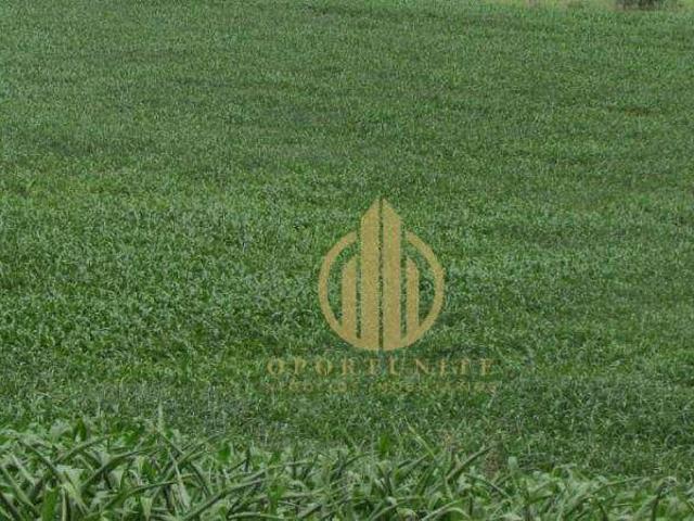 Terreno venda em Região Imediata de Ribeirão Preto, Região Metropolitana de Ribeirão Preto