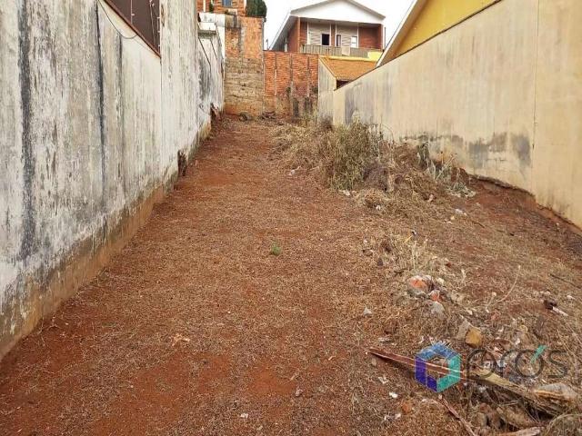 Terreno venda em Ribeirão Preto, Região Geográfica Intermediária de Ribeirão Preto