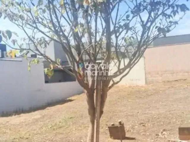 Terreno venda em Bonfim Paulista, Ribeirão Preto