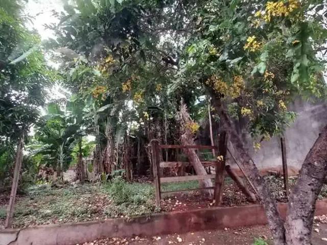 Terreno venda em Região Imediata de Ribeirão Preto, Região Metropolitana de Ribeirão Preto