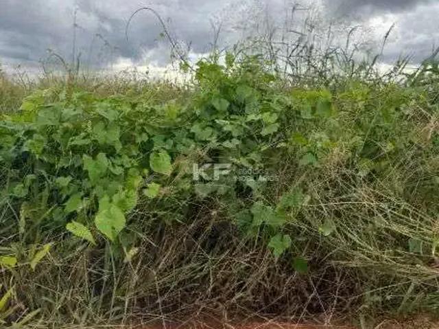 Terreno venda em Região Imediata de Ribeirão Preto, Região Metropolitana de Ribeirão Preto