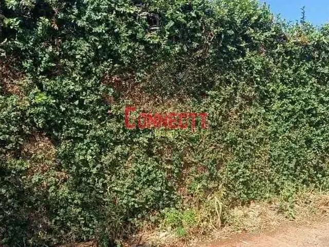 Terreno venda em Região Imediata de Ribeirão Preto, Região Metropolitana de Ribeirão Preto