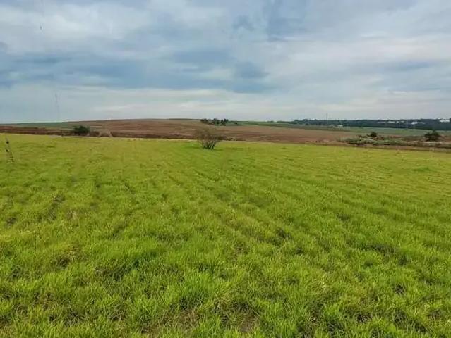 Terreno venda em Região Imediata de Ribeirão Preto, Região Metropolitana de Ribeirão Preto