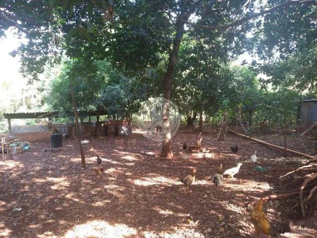 Terreno venda em Região Imediata de Ribeirão Preto, Região Metropolitana de Ribeirão Preto