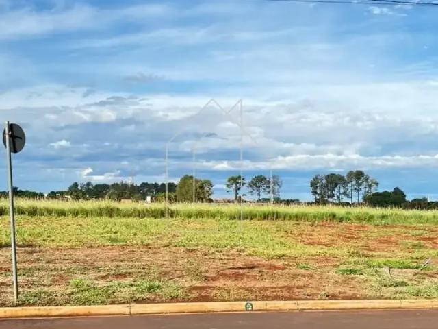Terreno venda em Região Imediata de Ribeirão Preto, Região Metropolitana de Ribeirão Preto