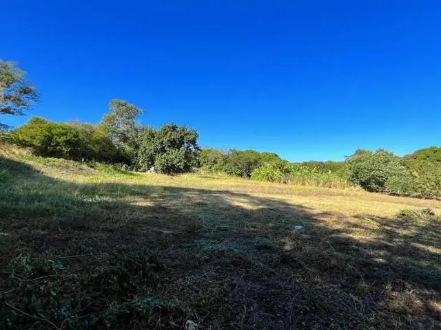 Terreno venda em Região Imediata de Ribeirão Preto, Região Metropolitana de Ribeirão Preto