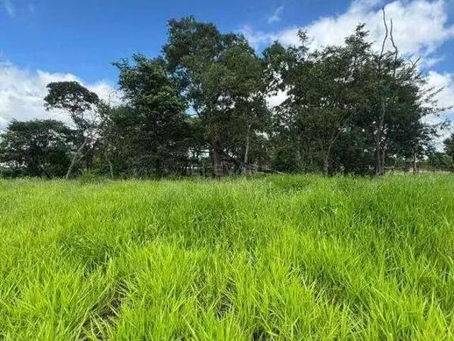 Terreno venda em Região Imediata de Ribeirão Preto, Região Metropolitana de Ribeirão Preto