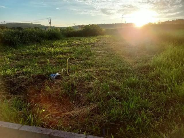 Terreno venda em Região Imediata de Ribeirão Preto, Região Metropolitana de Ribeirão Preto