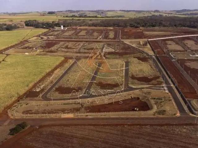 Terreno venda em Região Imediata de Ribeirão Preto, Região Metropolitana de Ribeirão Preto