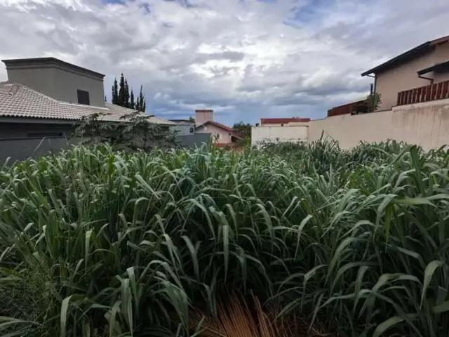 Terreno venda em Região Imediata de Ribeirão Preto, Região Metropolitana de Ribeirão Preto