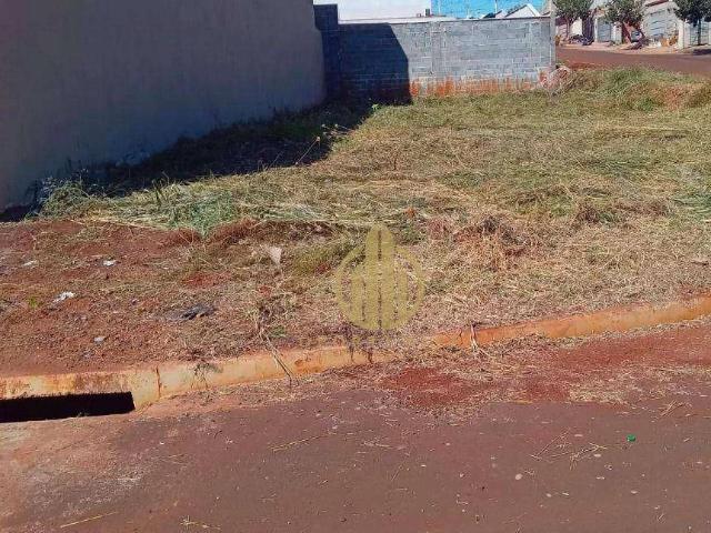 Terreno venda em Região Imediata de Ribeirão Preto, Região Metropolitana de Ribeirão Preto