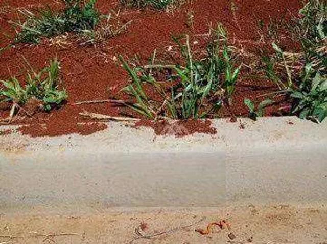 Terreno venda em Região Imediata de Ribeirão Preto, Região Metropolitana de Ribeirão Preto