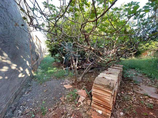 Terreno venda em Região Imediata de Ribeirão Preto, Região Metropolitana de Ribeirão Preto
