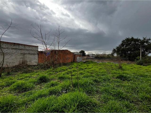 Terreno venda em Região Imediata de Ribeirão Preto, Região Metropolitana de Ribeirão Preto