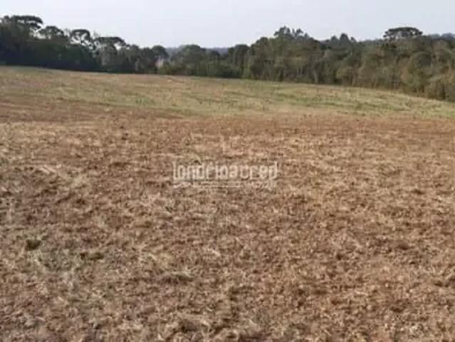 Terreno venda em Região Geográfica Imediata de Irati, Rio Azul