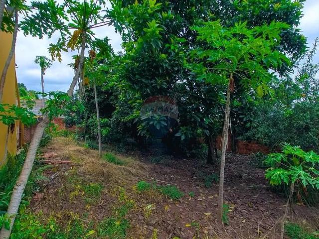 Terreno venda em Jardim Paulista, Rio Claro
