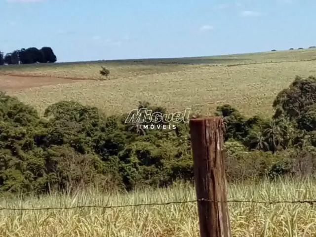 Terreno venda em Consolação, Rio Claro