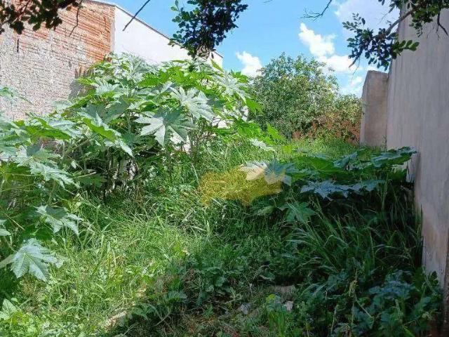 Terreno venda em Região Imediata de Rio Claro, Região Metropolitana de Piracicaba