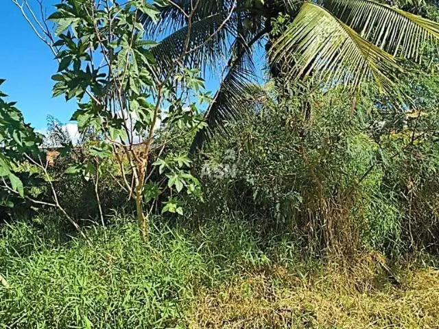 Terreno venda em Região Geográfica Imediata de Macaé-Rio das Ostras, Rio das Ostras